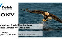 Capturing Birds & Wildlife using Sony Mirrorless Cameras w/ Chris Dodds Sony Chris Dodds Calgary Event Blog