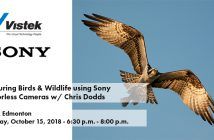 Capturing Birds & Wildlife using Sony Mirrorless Cameras w/ Chris Dodds Sony Chris Dodds Edmonton Event Blog