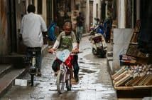 Kasha Slavner – On the Sunny Side of the Street Kasha Slavner - Bike Buddies