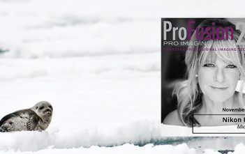 Michelle Valberg – ProFusion Expo 2019 Main Stage Presenter Baby Seal - Michelle Valberg