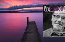Peter Baumgarten – ProFusion Expo 2019 Main Stage Presenter Peter Baumgarten - ProFusion Expo 2019 Presenter