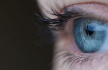 “Show us what FX You” Photo Contest – Closed