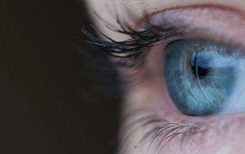 “Show us what FX You” Photo Contest – Closed