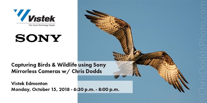 Sony Chris Dodds Edmonton Event Blog