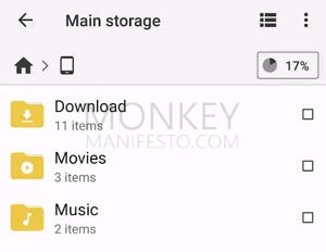 main storage