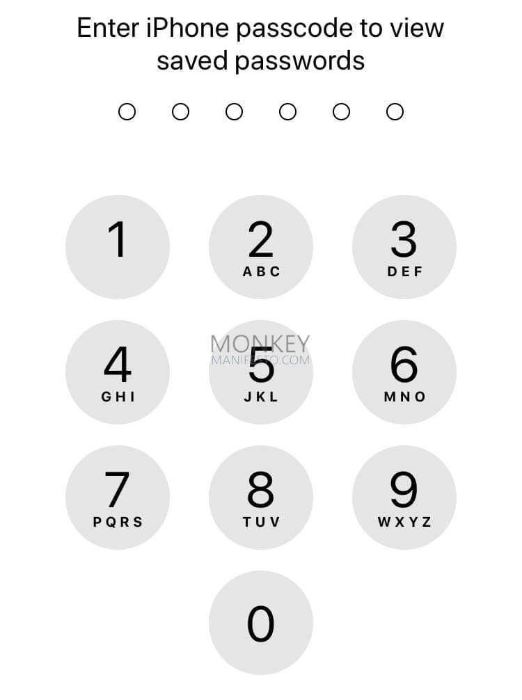 enter iphone passcode to view saved passwords