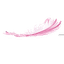 logo pompes funèbres Le Papillon