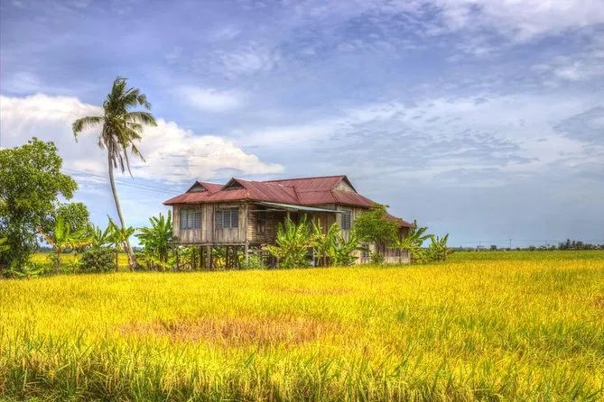 Sekinchan Paddy Field, Selangor