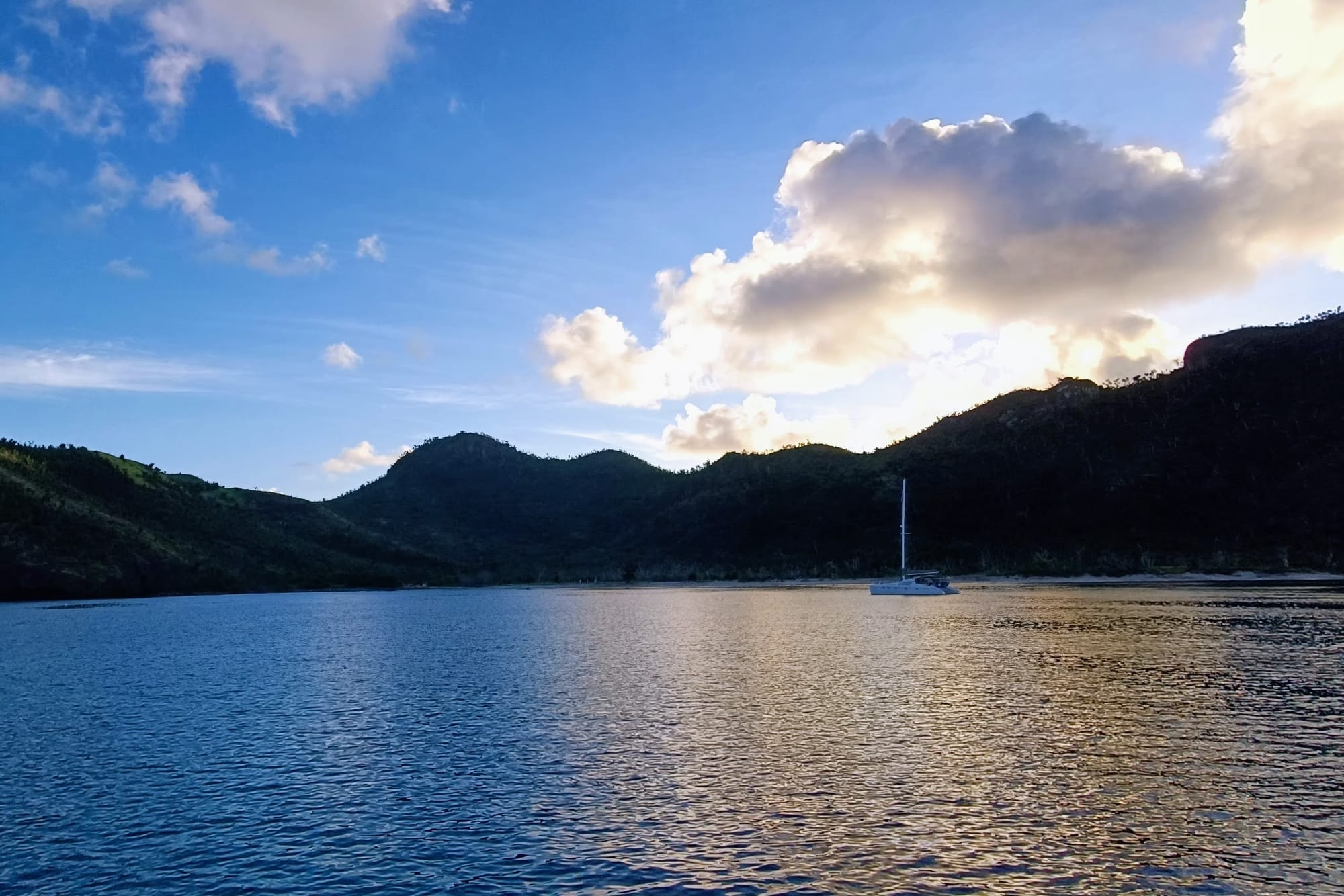 Novembre, le mois de la liberté