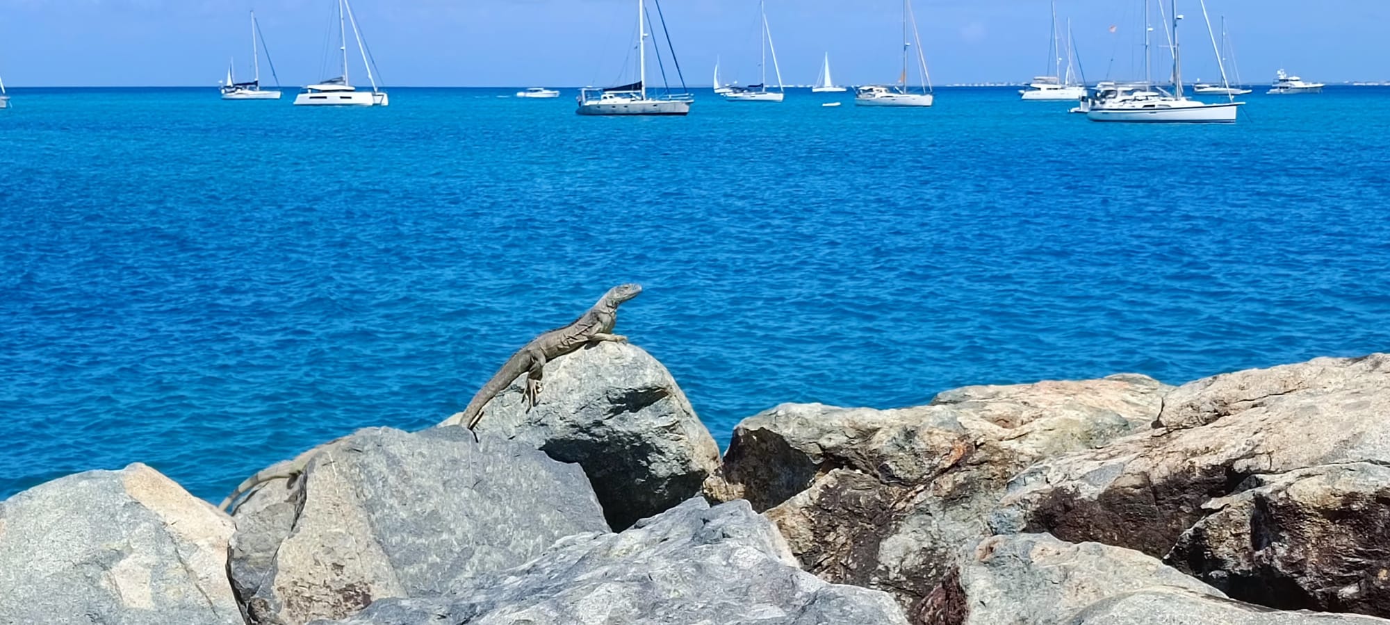 Mars et ça repart pas !