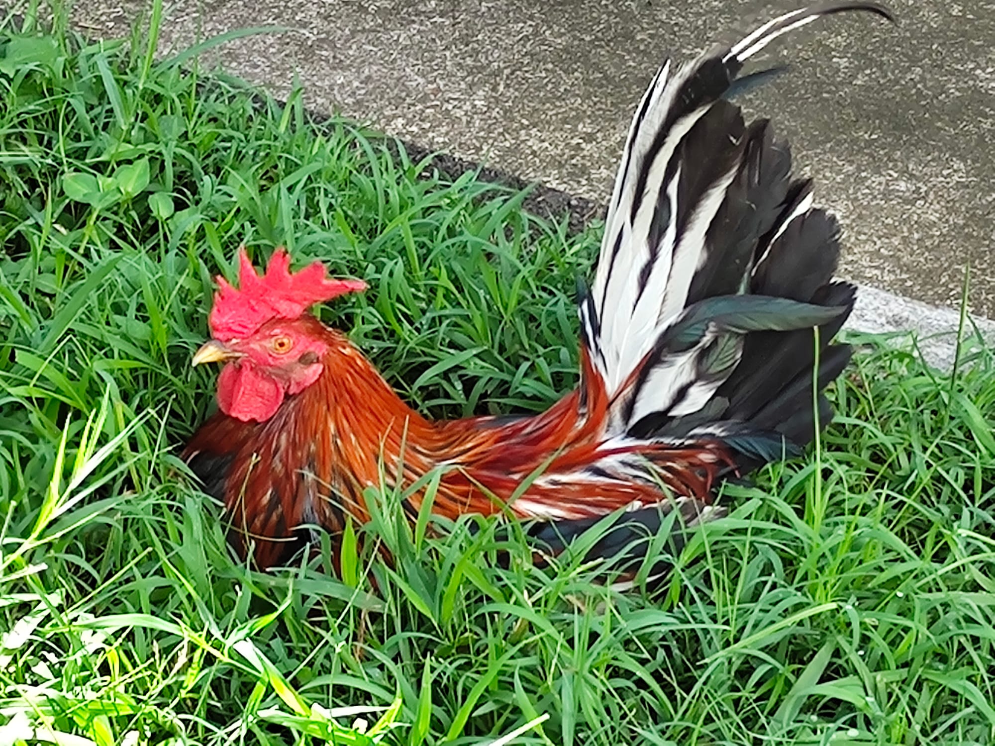 Novembre, enfin de retour !