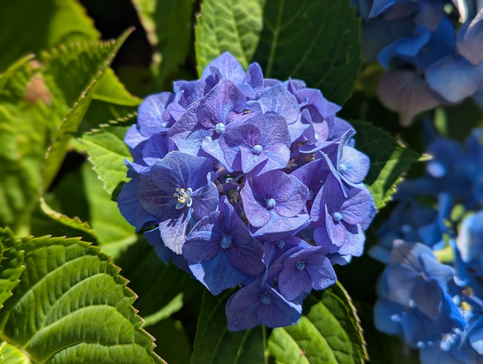 Septembre 2025, l'attente !