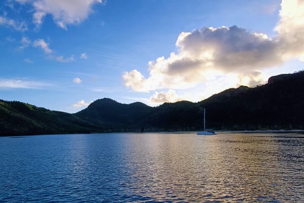 Novembre, le mois de la liberté