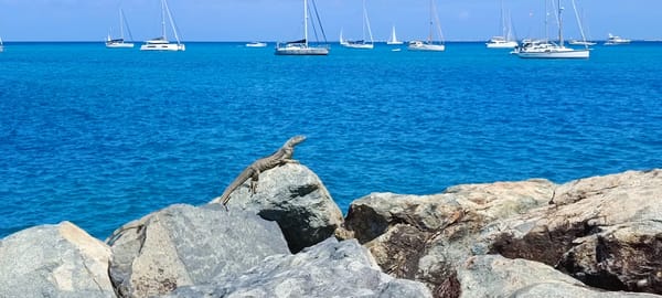 Mars et ça repart pas !