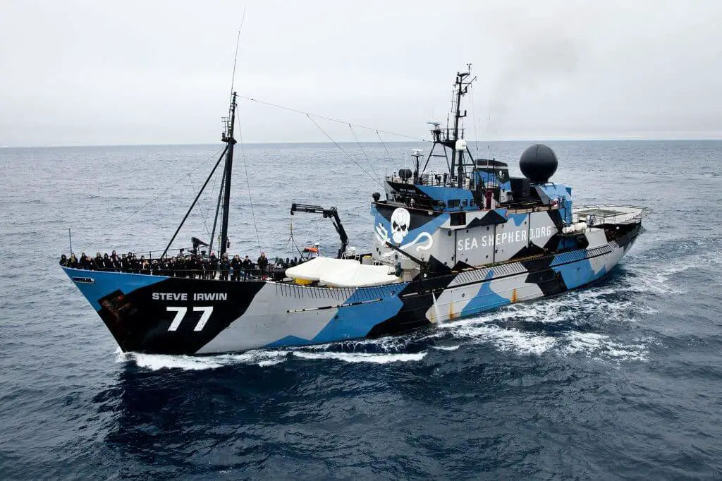 sea-shepherd