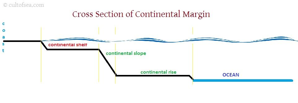 Cross Section of Continental Shelf