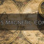 Ship's magnetic compass