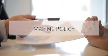 policy
