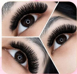 Volume Lashes