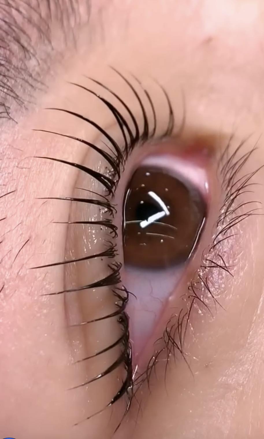 Eyes and Brows service at Sara Beauty