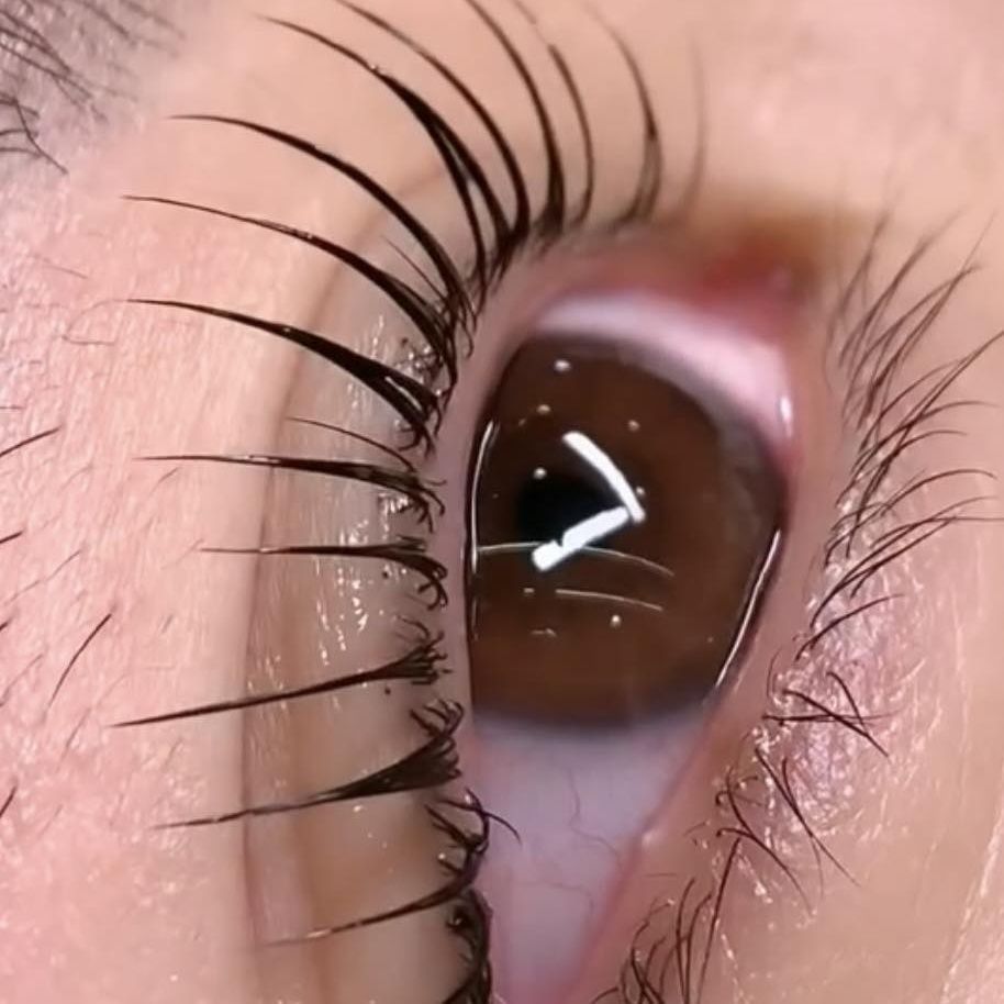 Sara Beauty lash lift natural result
