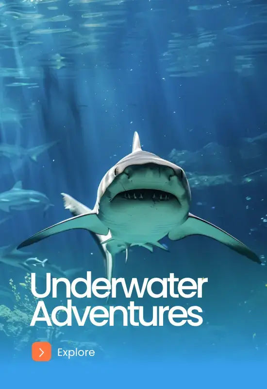 Underwater Adventures