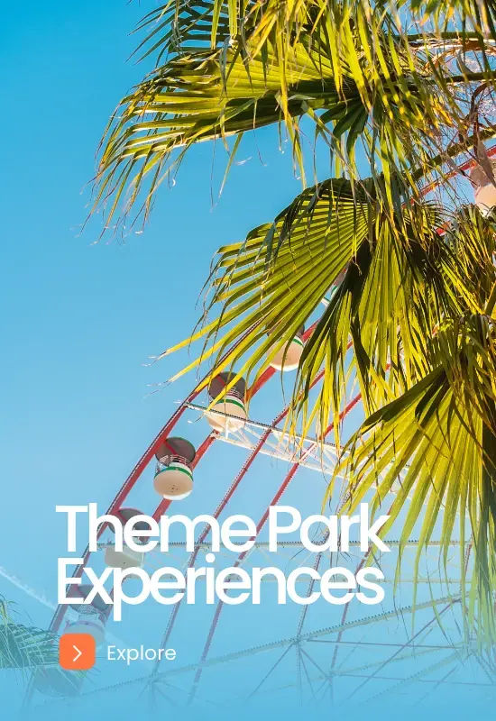 Theme Park Experiences