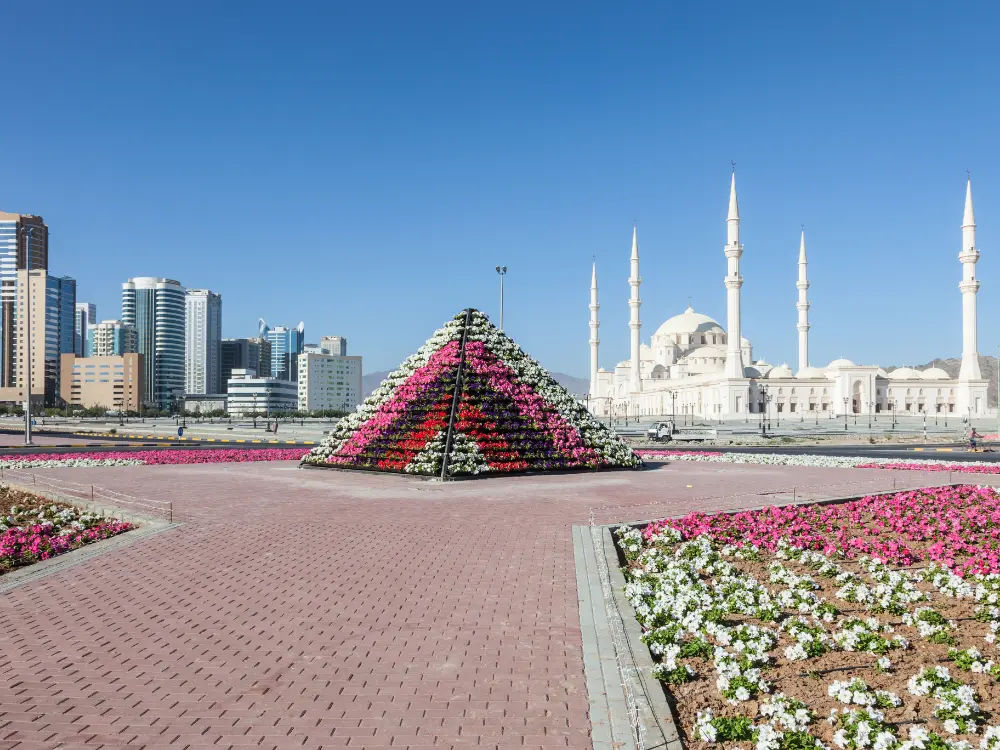 Tour Image 5