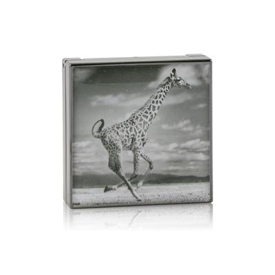 Luminescent Eye Shade - Giraffe