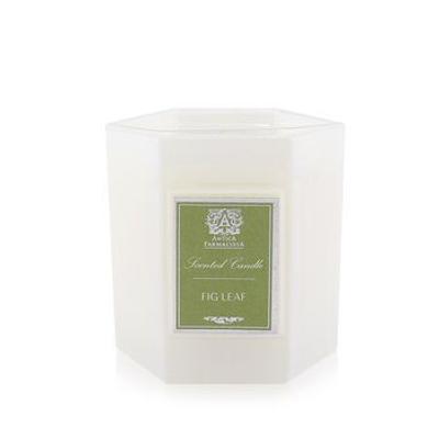 Scented Candle - Fig Leaf