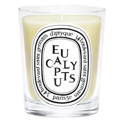Scented Candle - Eucalyptus