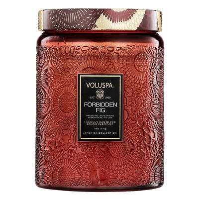 Large Jar Candle - Forbidden Fig