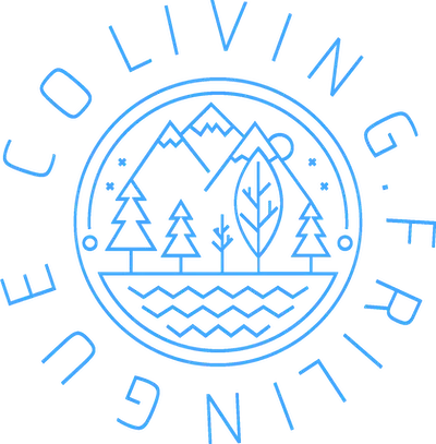 Coliving Frilingue