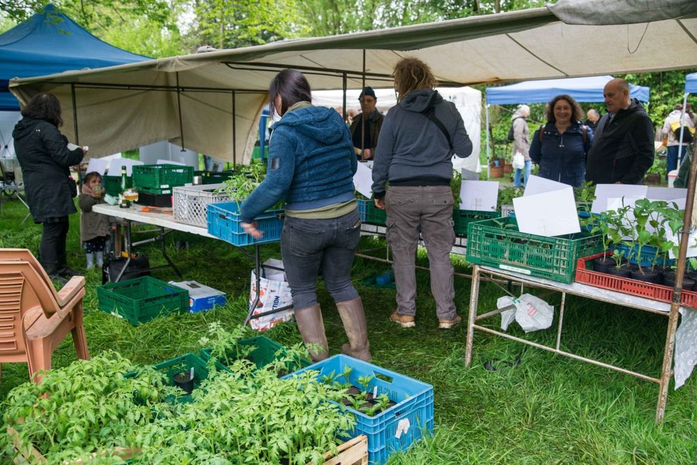 Le Cercle de la Verdinie et son Festi’Nature