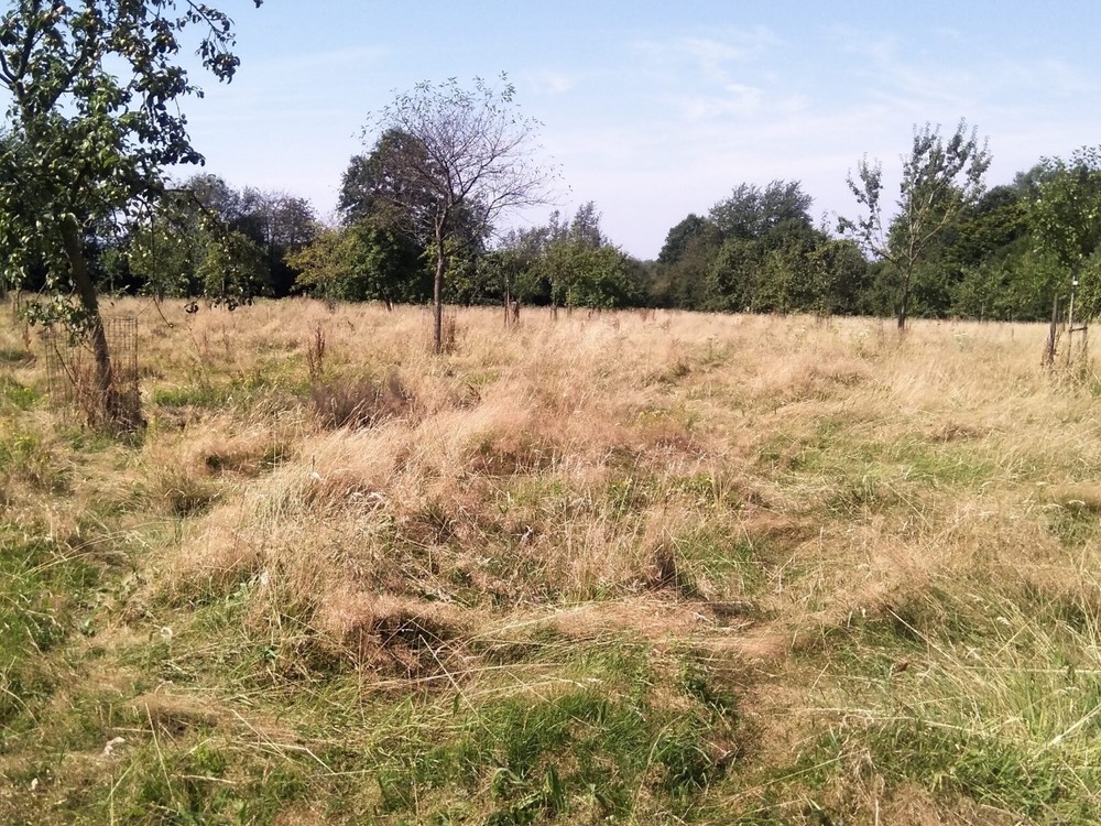 Projet Aires protégées : offrir un espace à la biodiversité en Wallonie