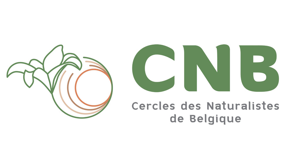 Un nouveau visuel pour notre association