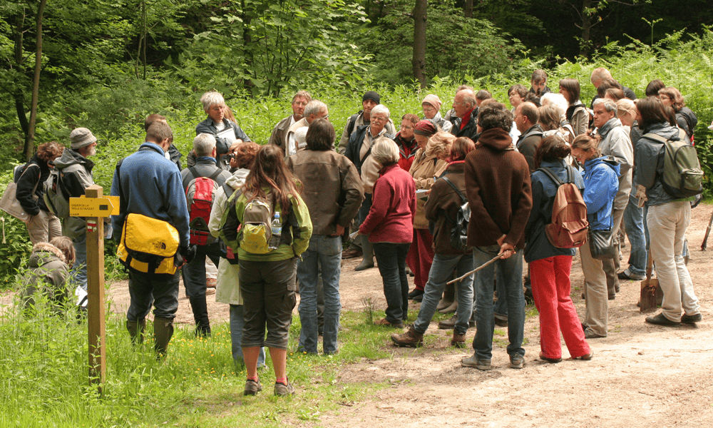En 2025, la formation Guide-Nature® des CNB fête ses 50 ans