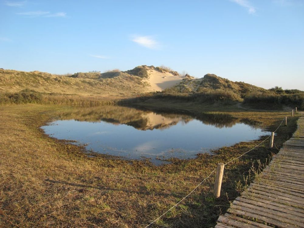 Découvrez la Co-présidence de la Section Côte et Mer du Nord !