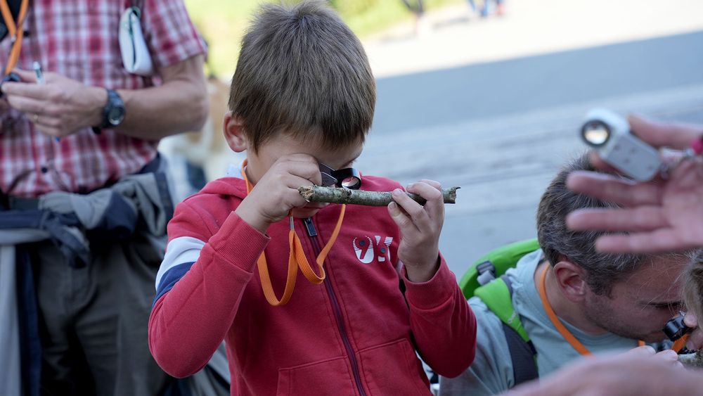 Des stages nature pour les jeunes cet été, aux CNB !