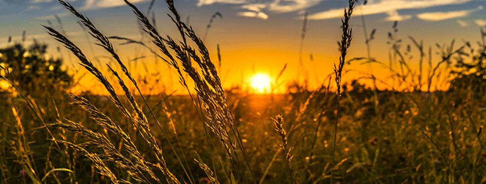 Agriculture et Climat