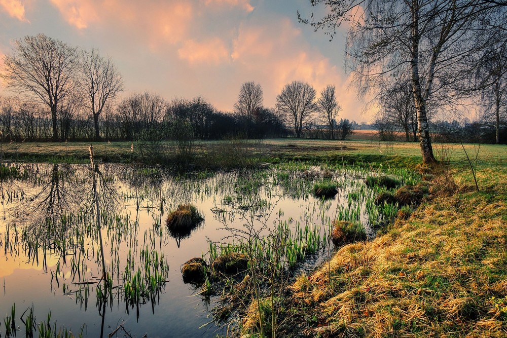 50 ans de la loi sur la conservation de la nature