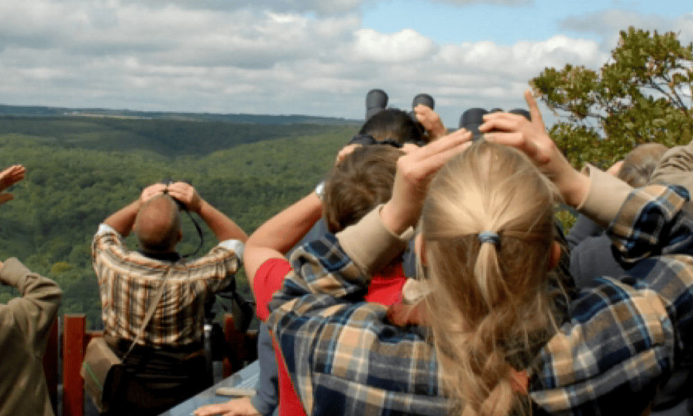 Appel à témoignages et à images pour les 50 ans de notre Formation Guide-Nature®