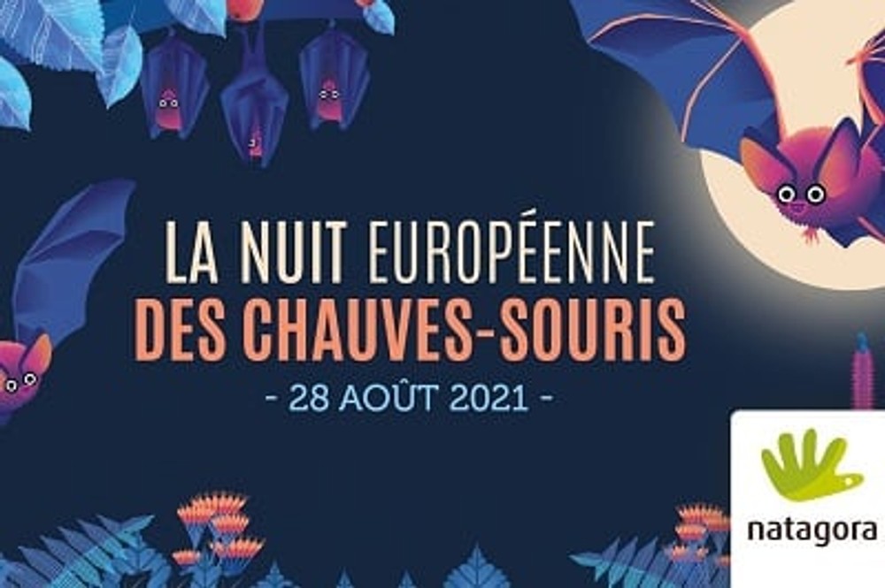 Nuit Européenne de la Chauve-Souris