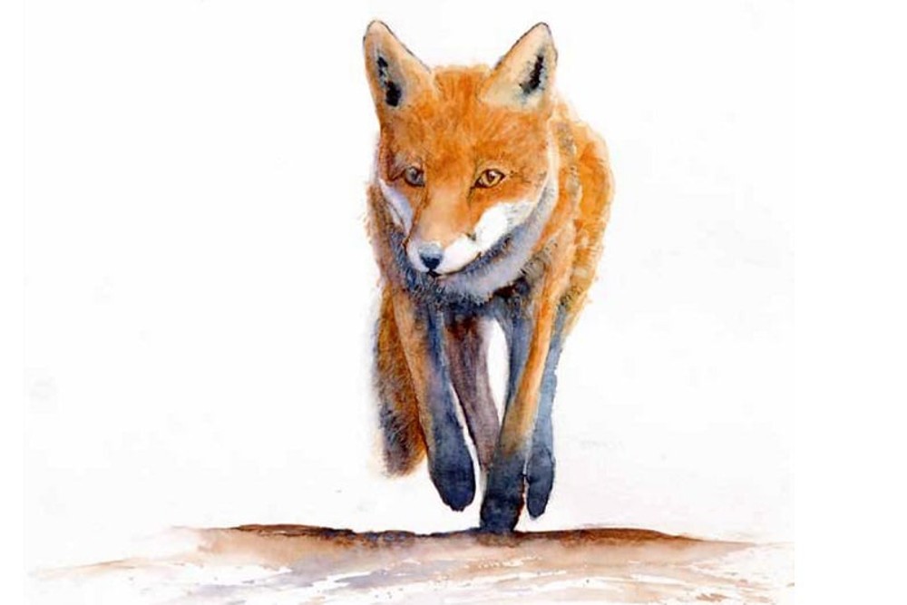 Le Livre blanc des dérives de la chasse en Wallonie