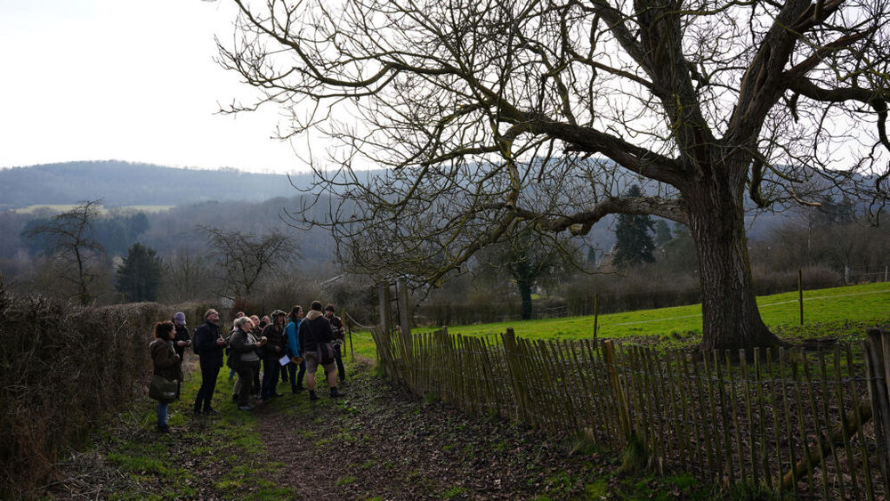 Jardin Extraordinaire – le gobemouche noir