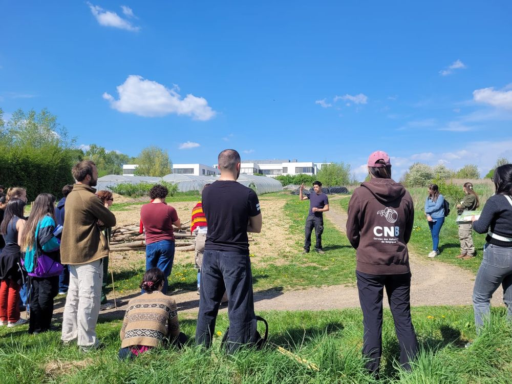 Biodiversité urbaine : un BioBlitz au Vogelzang avec les CNB