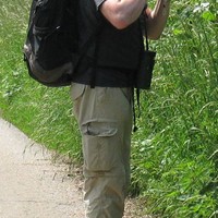 Francis Mauhin