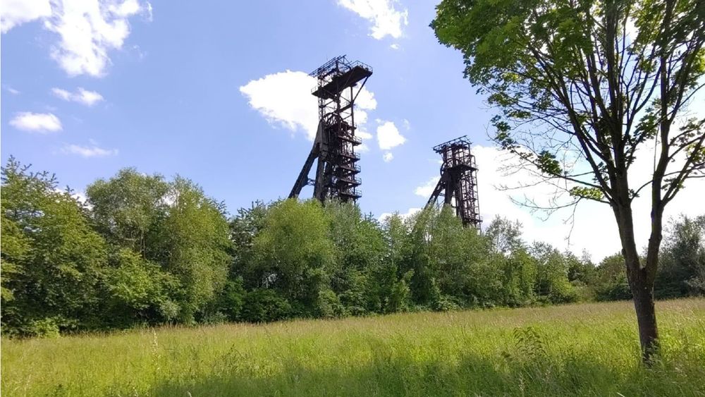 FrichNat, le rapport final sur les friches industrielles wallonnes.