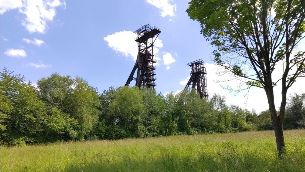 FrichNat, le rapport final sur les friches industrielles wallonnes.