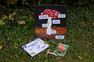 outils pédagogiques champignons